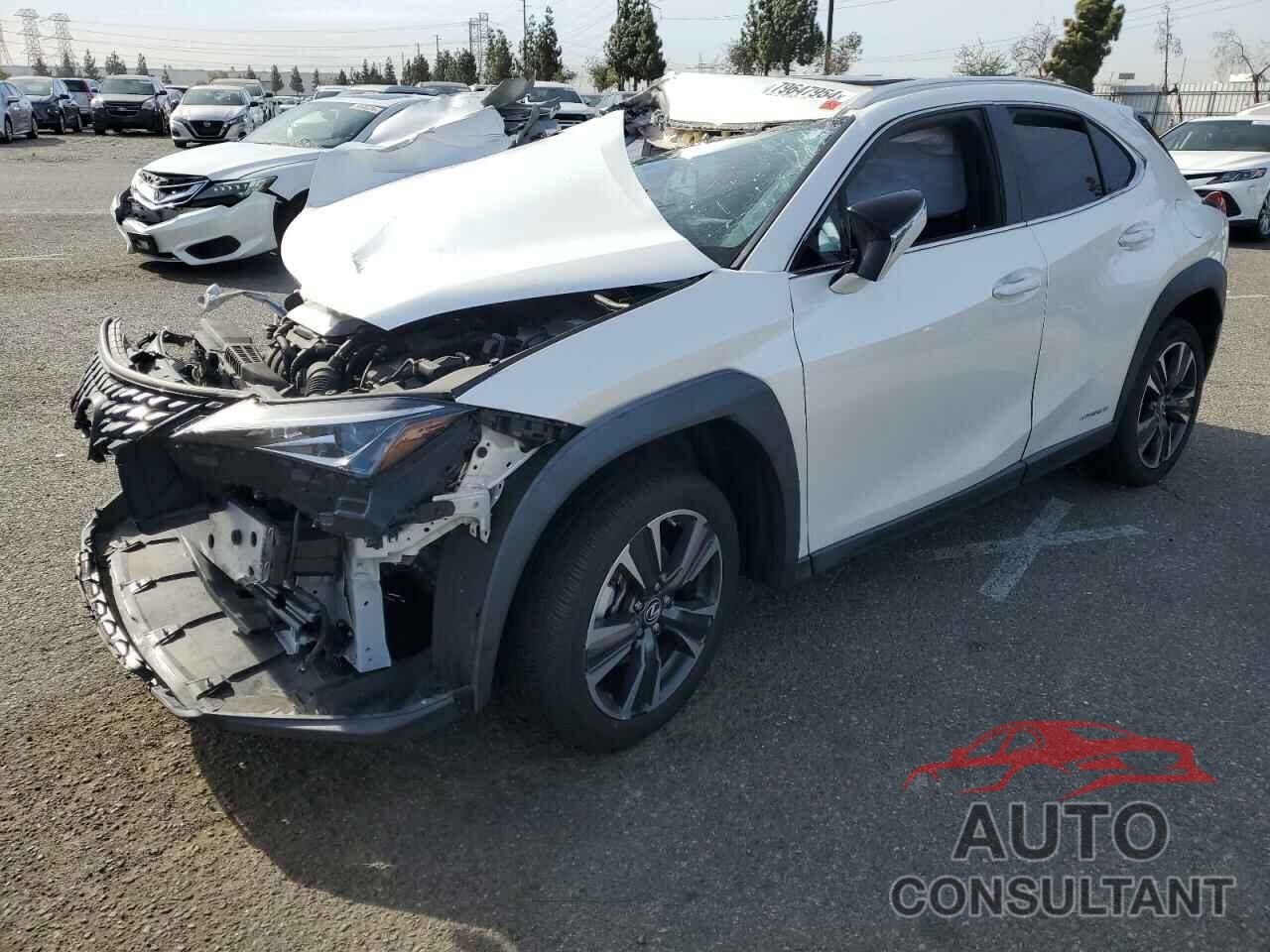 LEXUS UX 250H 2020 - JTHP9JBH3L2022112