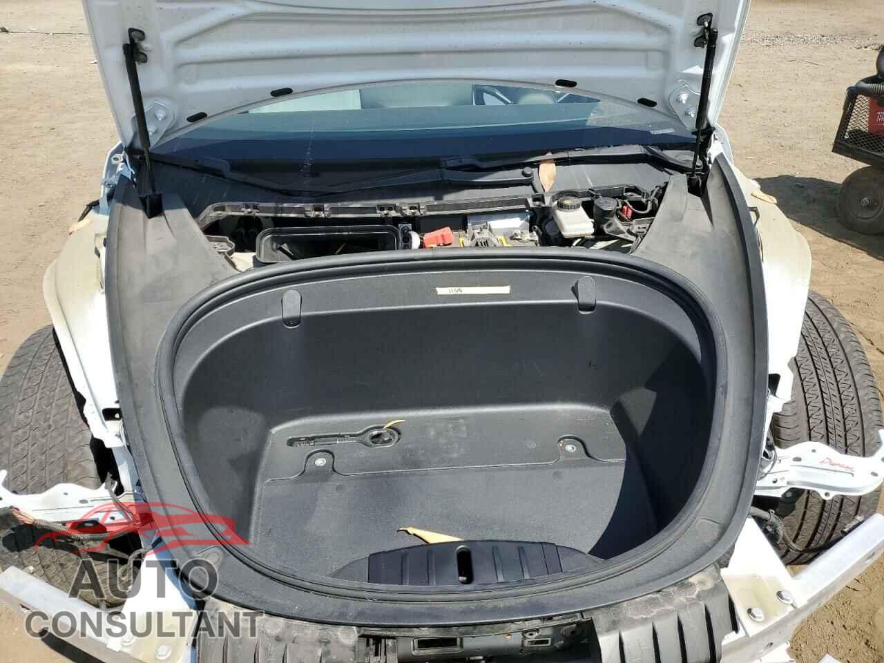 TESLA MODEL 3 2019 - 5YJ3E1EA3KF509980
