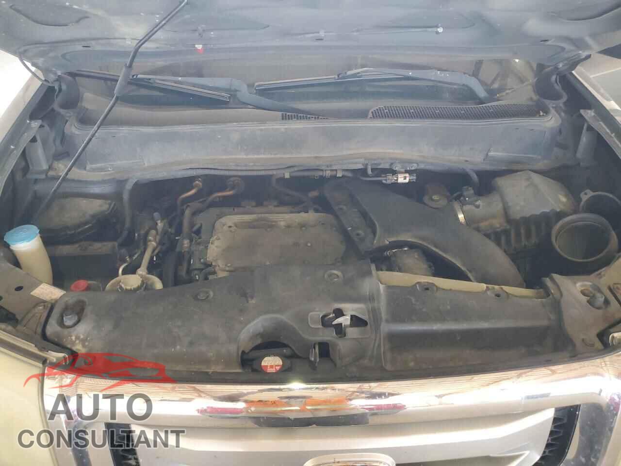HONDA PILOT 2009 - 5FNYF38259B010692
