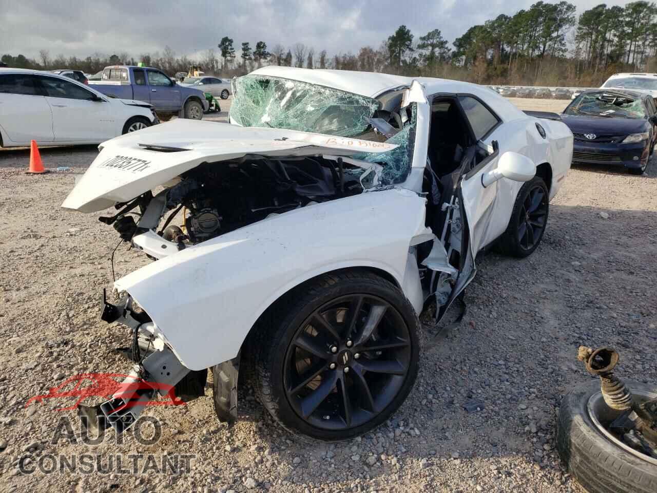 DODGE CHALLENGER 2019 - 2C3CDZFJ1KH759068