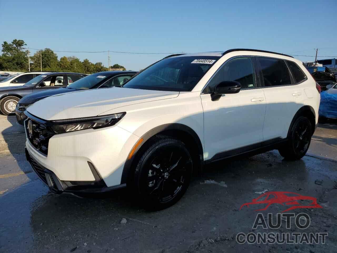 HONDA CRV 2024 - 7FARS6H82RE043269