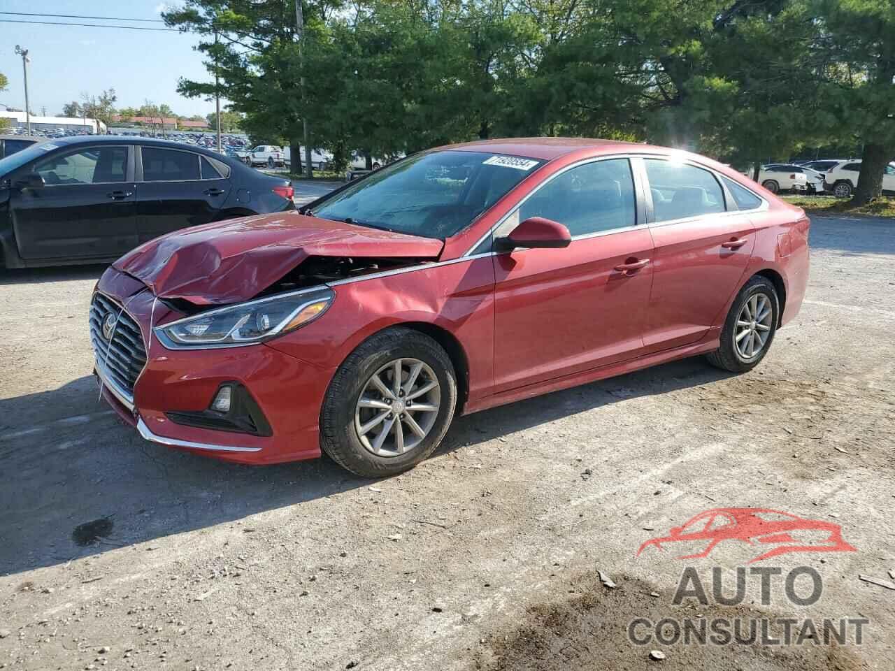 HYUNDAI SONATA 2019 - 5NPE24AF1KH760745