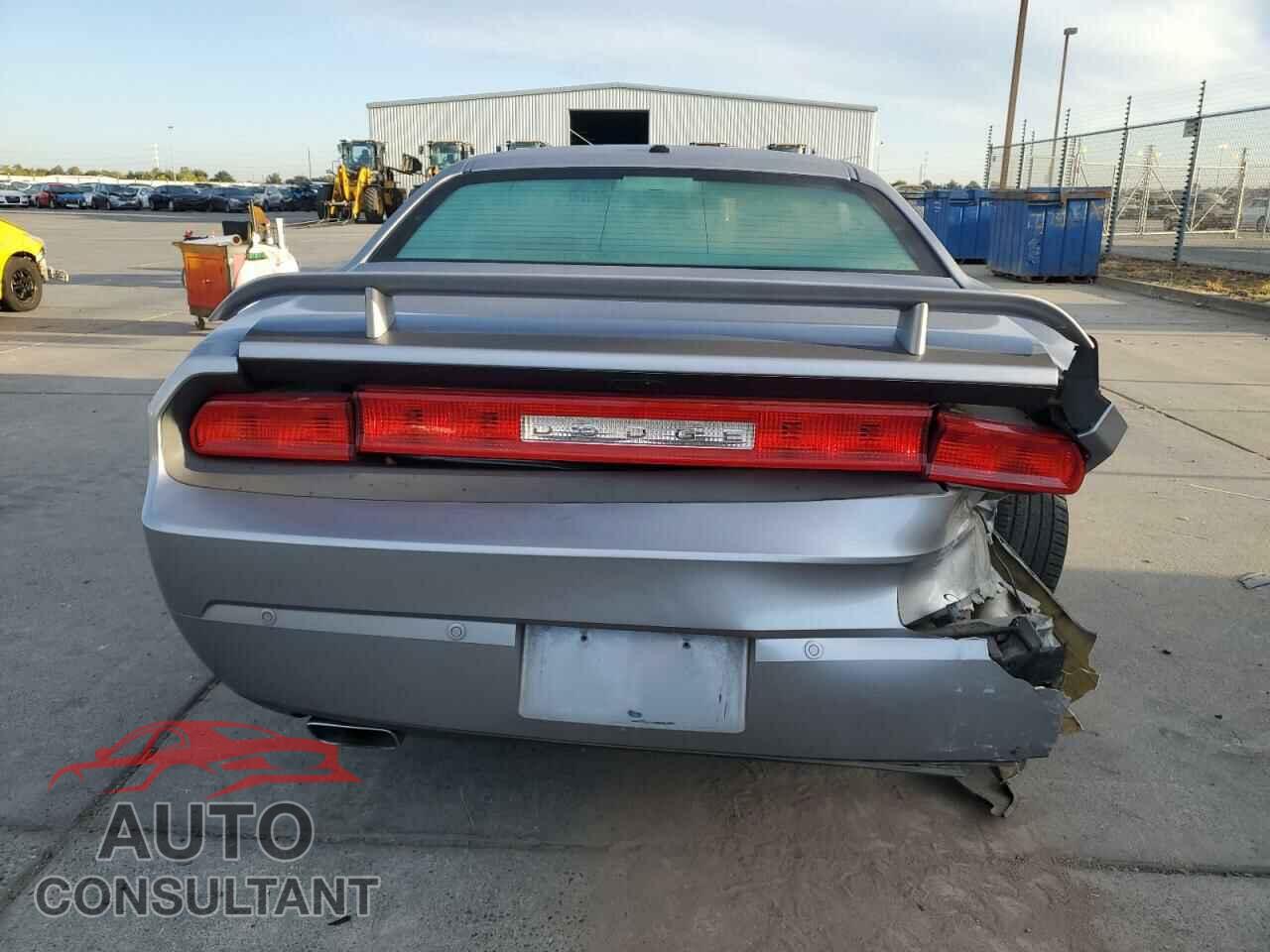 DODGE CHALLENGER 2013 - 2C3CDYBT2DH728559