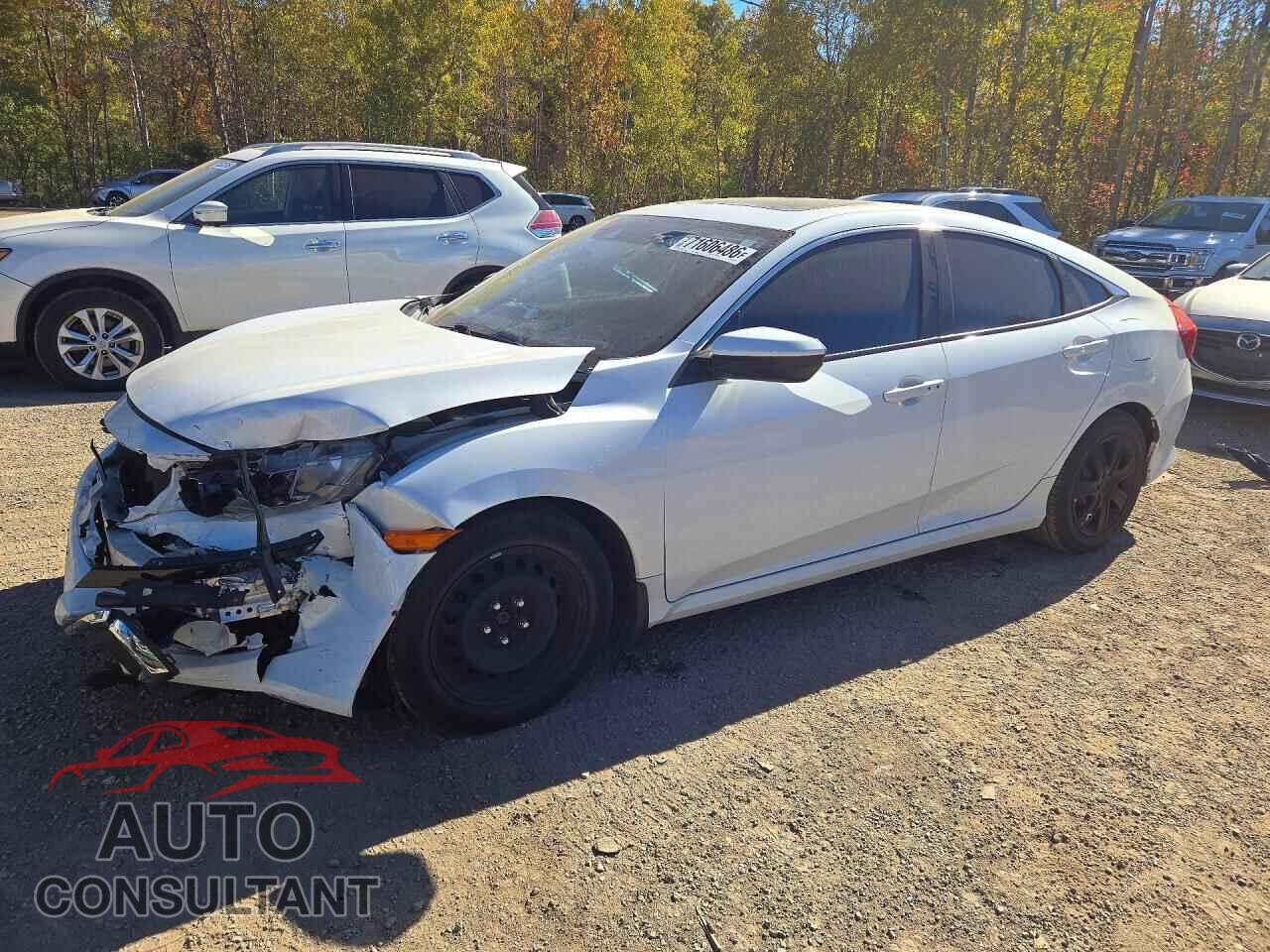 HONDA CIVIC 2019 - 2HGFC2F7XKH035940
