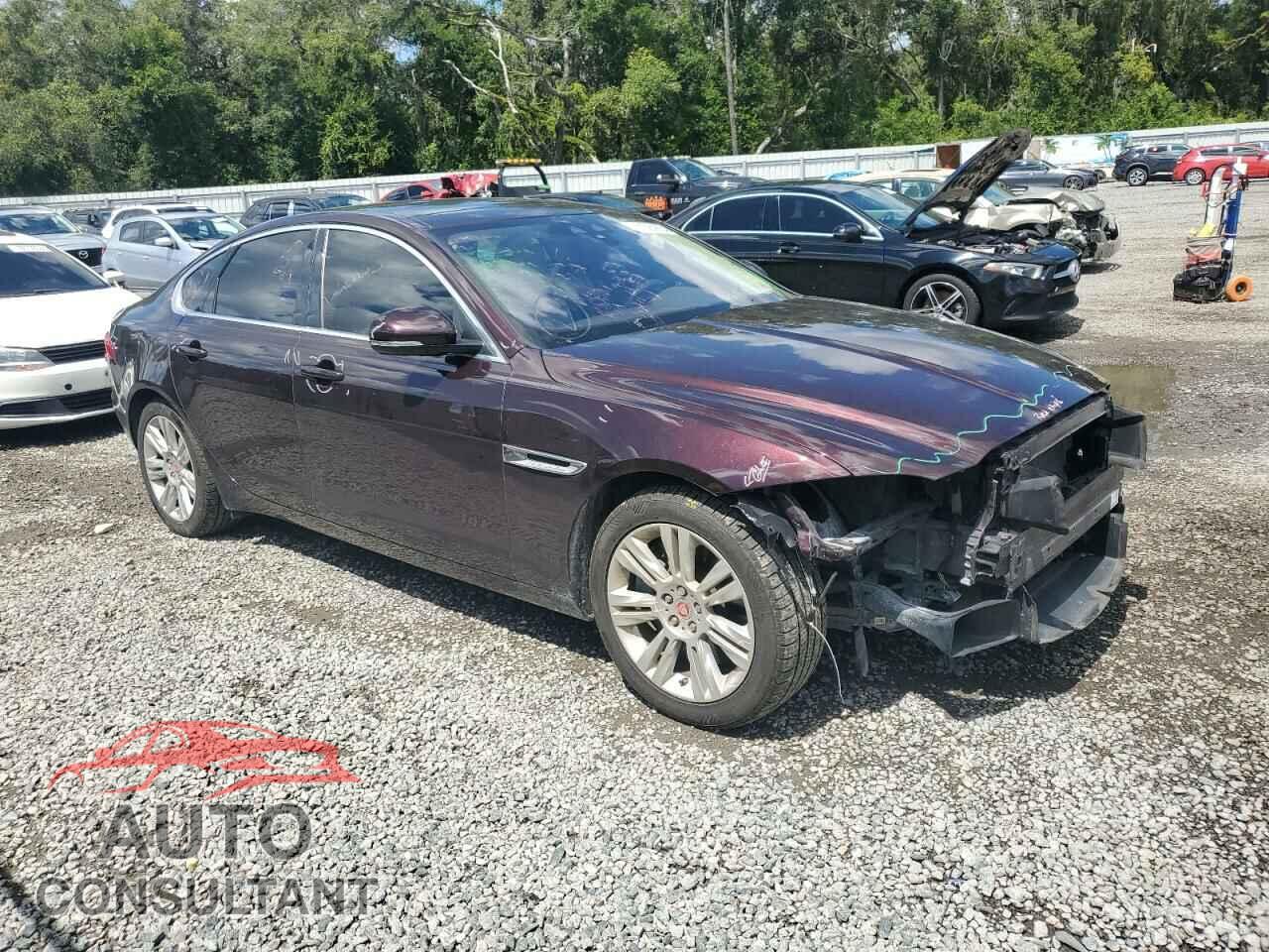 JAGUAR XF 2016 - SAJBD4BV2GCY20426