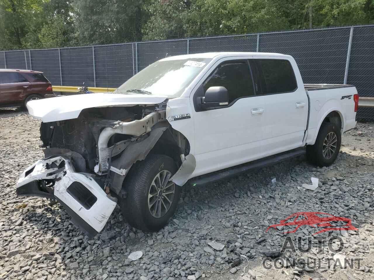 FORD F-150 2019 - 1FTEW1EP5KFD31219