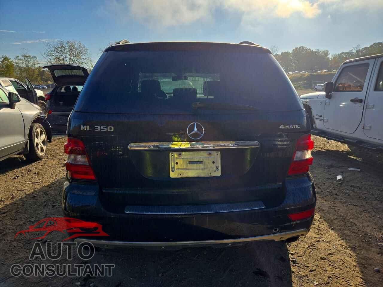 MERCEDES-BENZ M-CLASS 2009 - 4JGBB86E99A516073