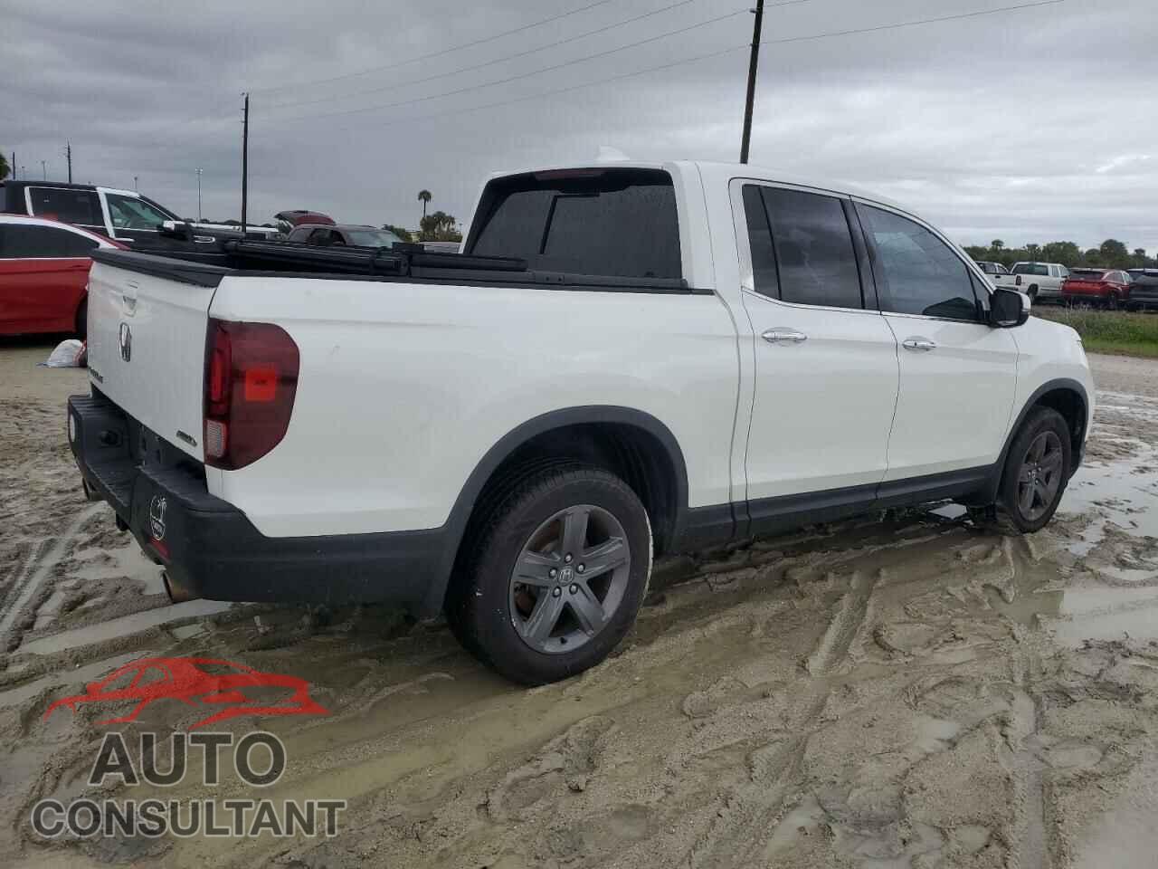 HONDA RIDGELINE 2021 - 5FPYK3F75MB006538