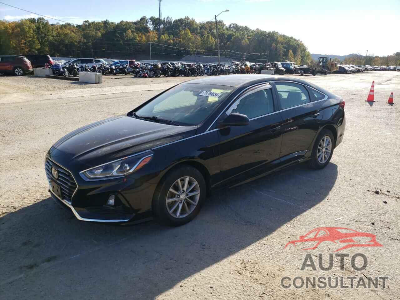 HYUNDAI SONATA 2019 - 5NPE24AF4KH819500