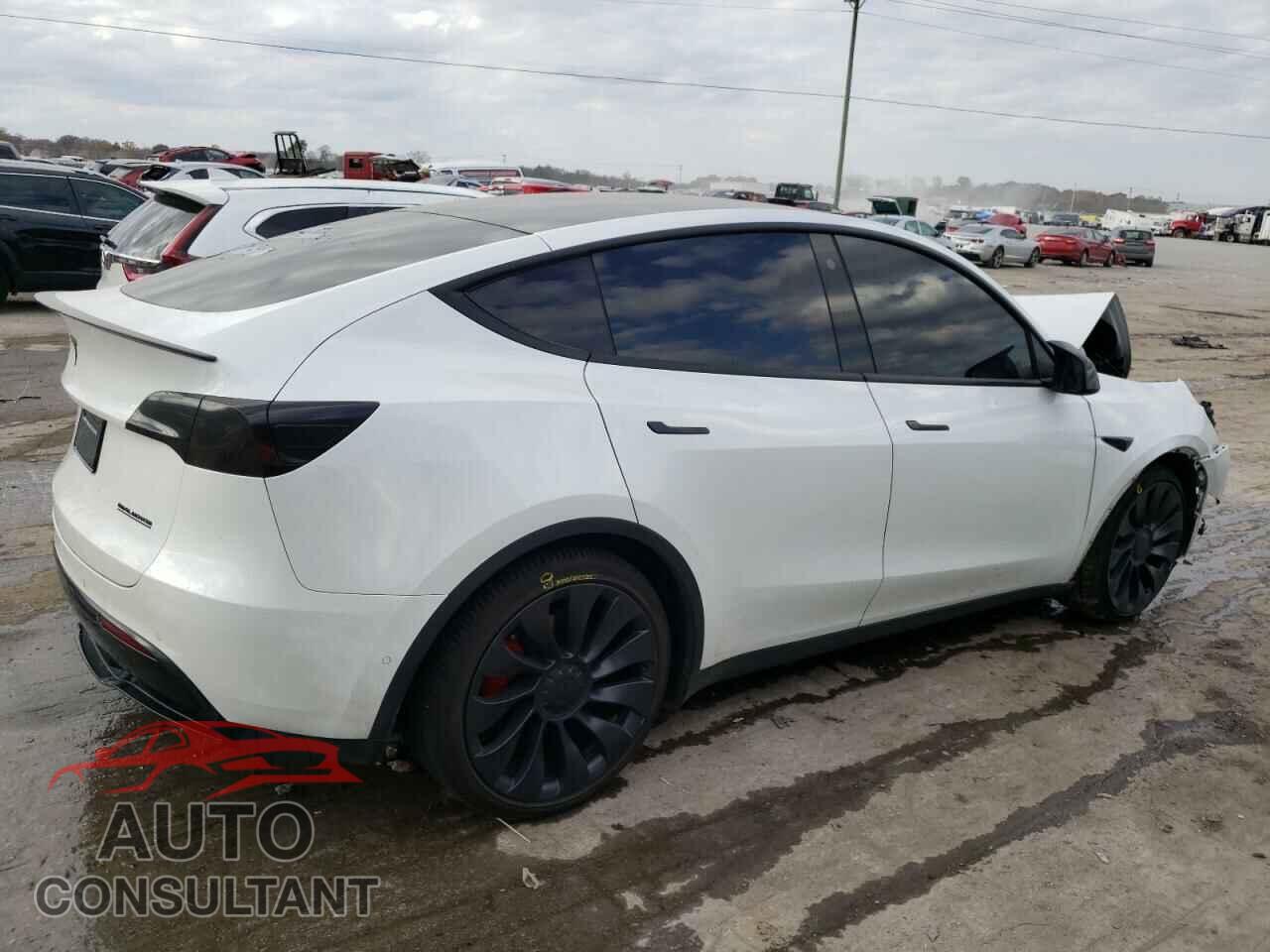 TESLA MODEL Y 2022 - 7SAYGDEF8NF338499