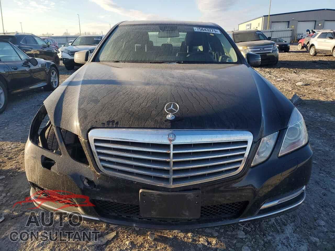 MERCEDES-BENZ E-CLASS 2012 - WDDHF8JB0CA543742