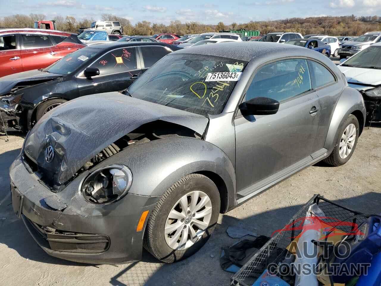 VOLKSWAGEN BEETLE 2016 - 3VWF17AT0GM606539