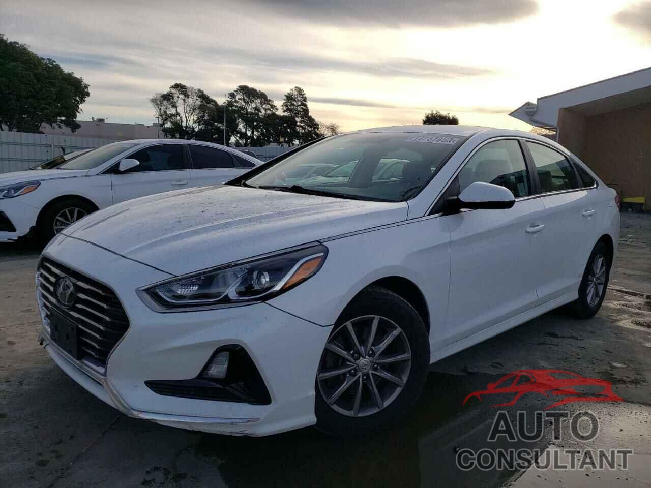 HYUNDAI SONATA 2019 - 5NPE24AF4KH776230