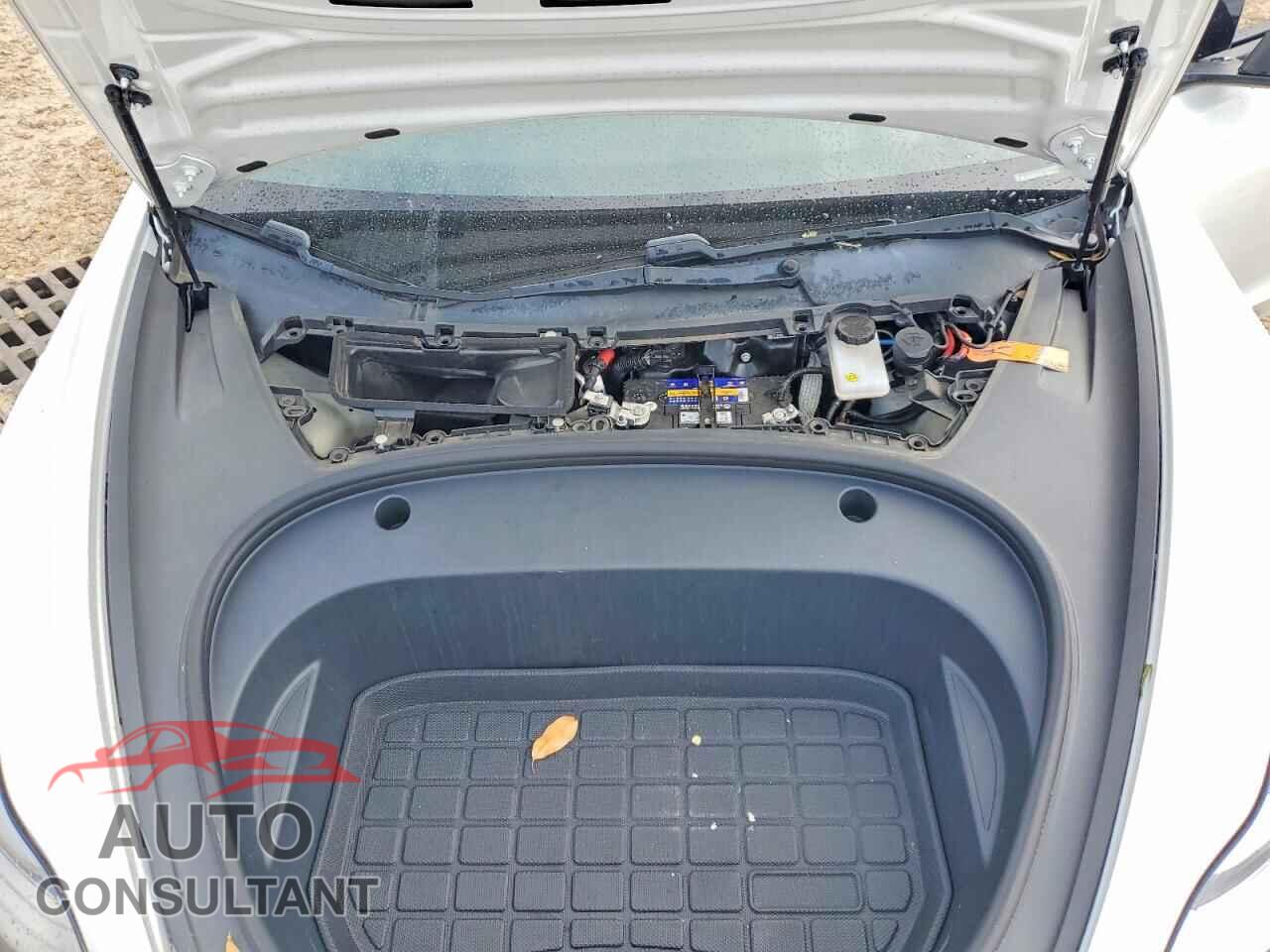 TESLA MODEL 3 2021 - 5YJ3E1EA7MF859860