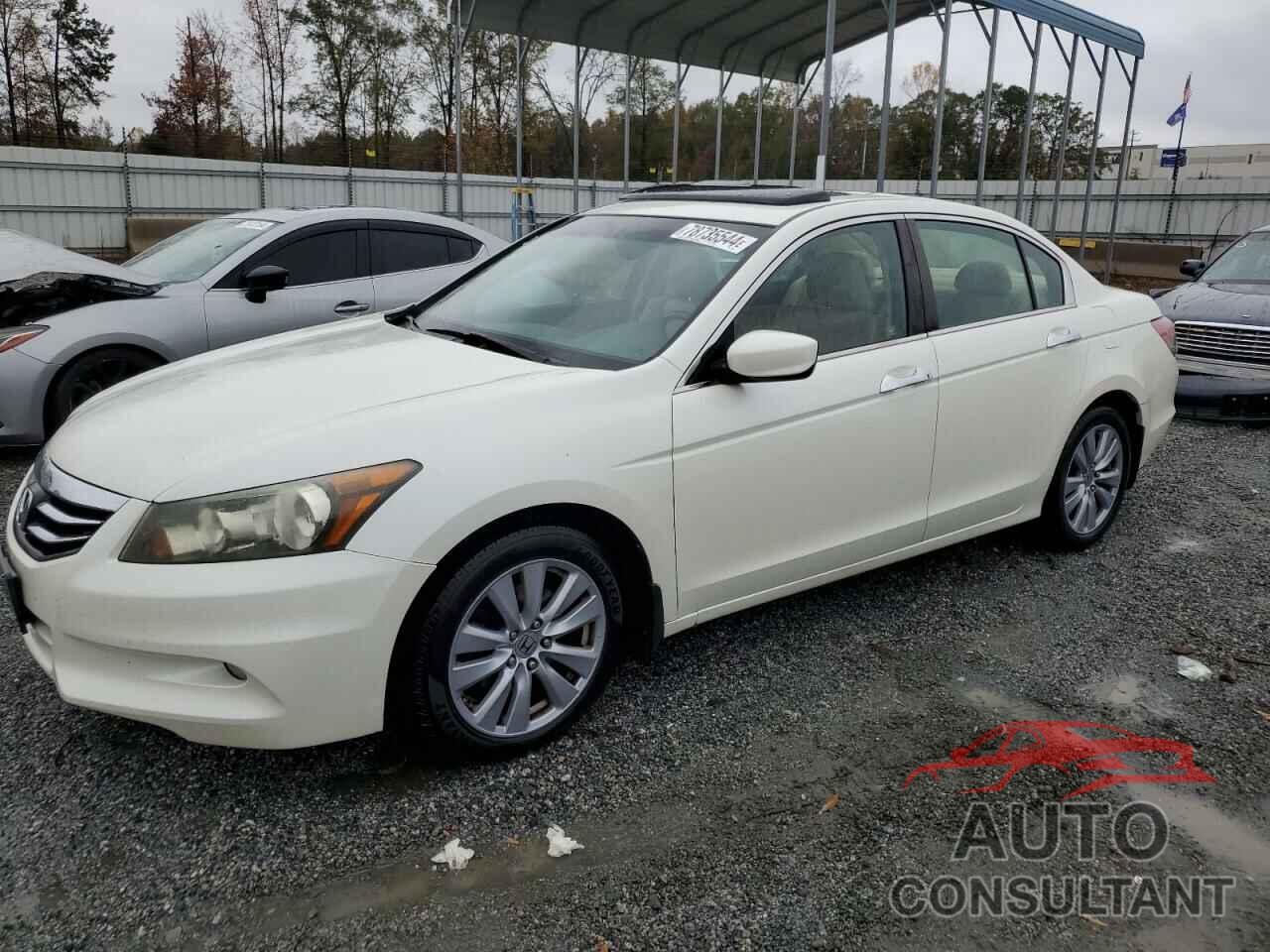 HONDA ACCORD 2011 - 1HGCP3F88BA009566