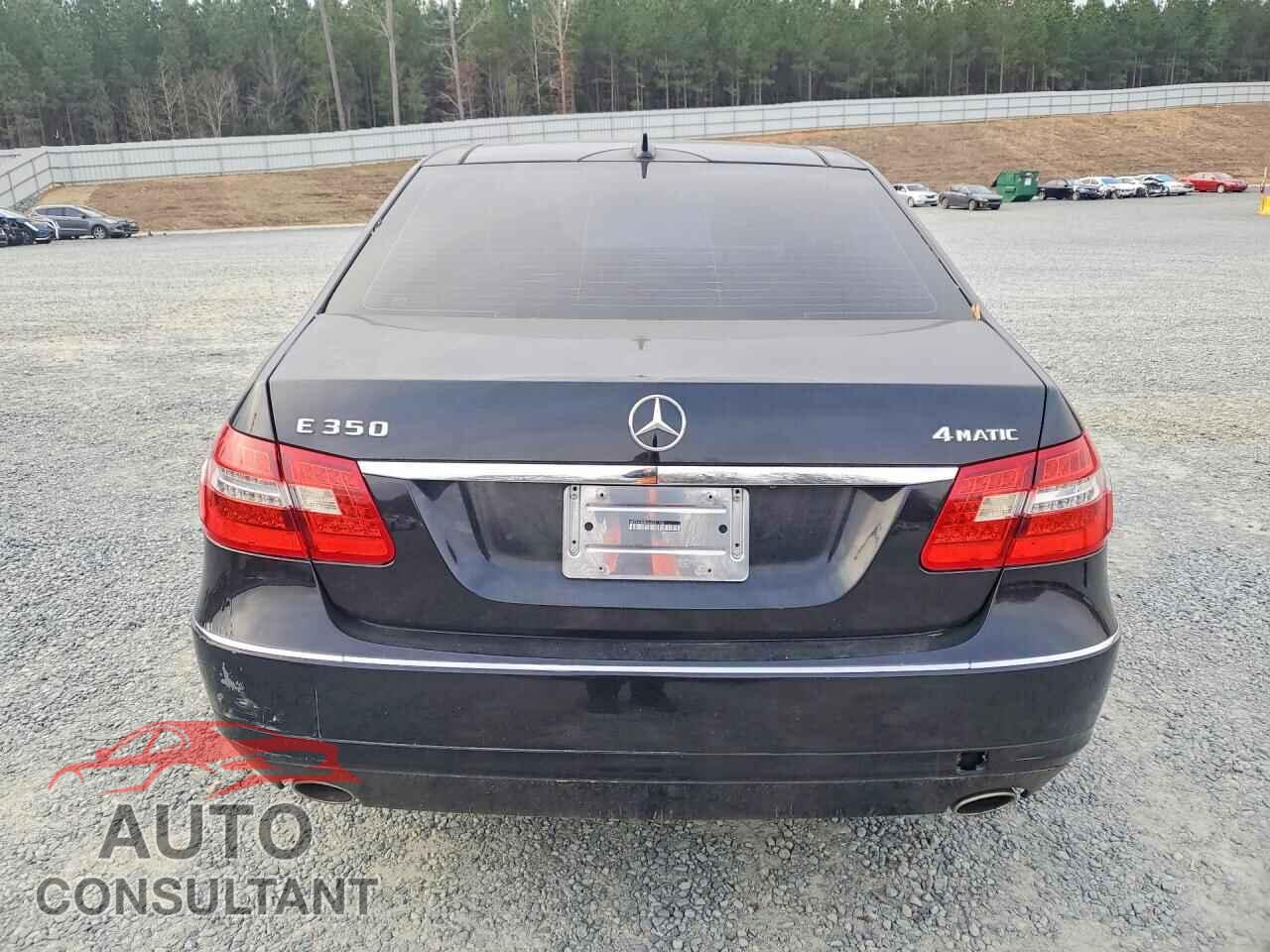 MERCEDES-BENZ E-CLASS 2010 - WDDHF8HB2AA231702