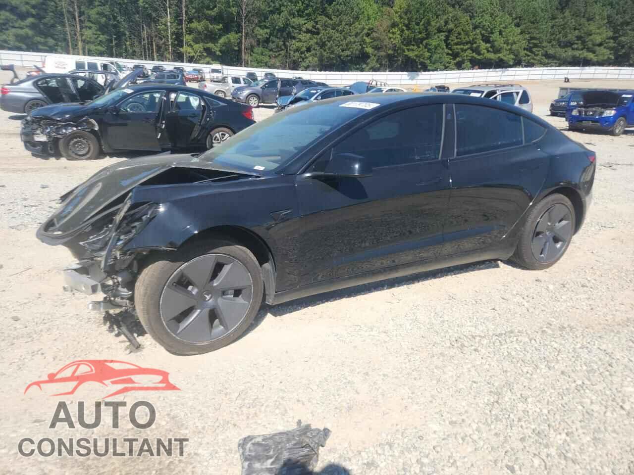 TESLA MODEL 3 2021 - 5YJ3E1EA5MF061356