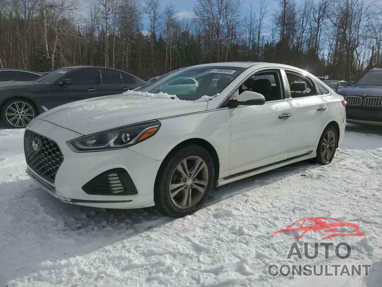 HYUNDAI SONATA 2019 - 5NPE34AF9KH775636