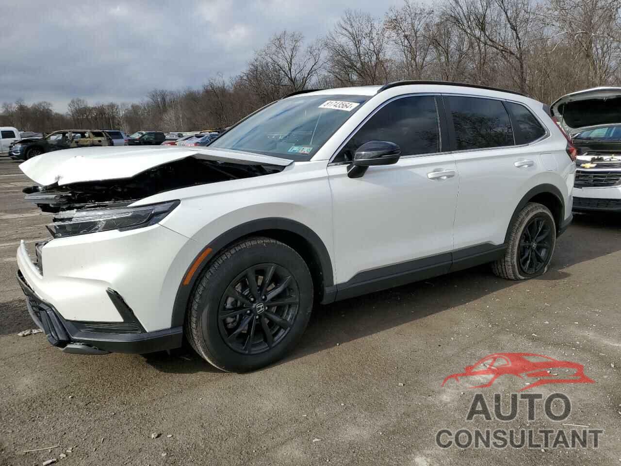 HONDA CRV 2024 - 7FARS6H53RE057848