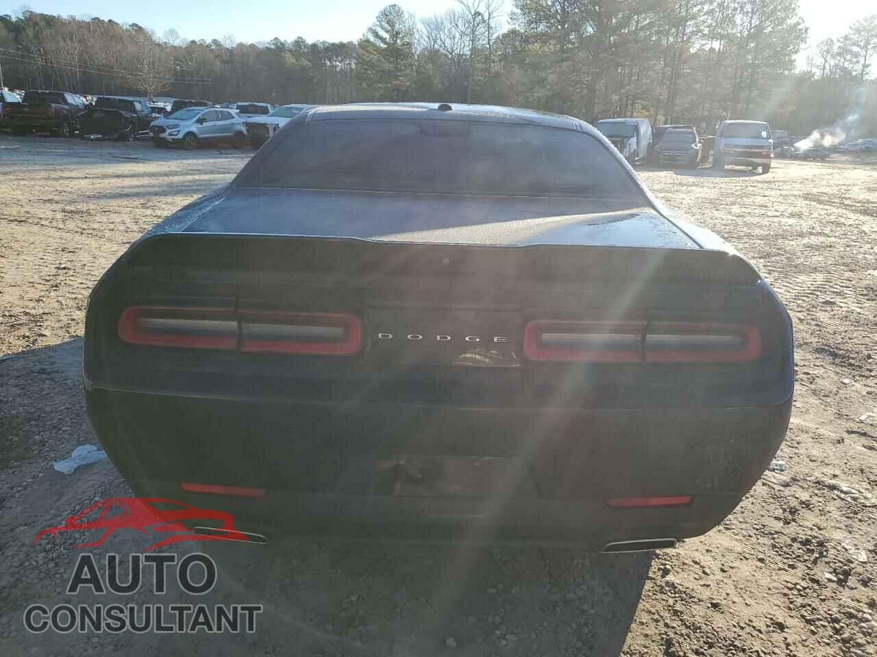 DODGE CHALLENGER 2019 - 2C3CDZAG5KH718986
