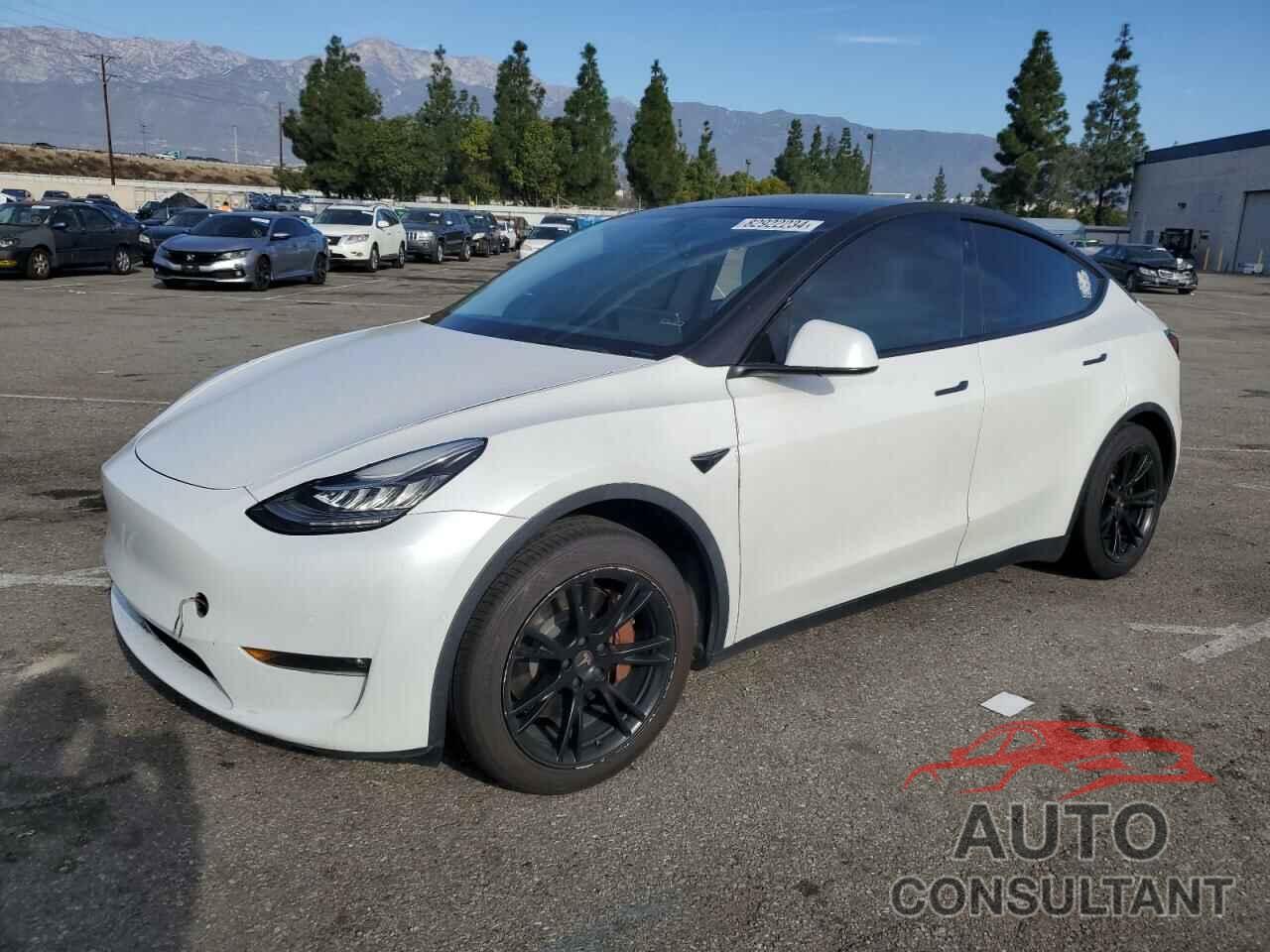 TESLA MODEL Y 2021 - 5YJYGDEE3MF293815