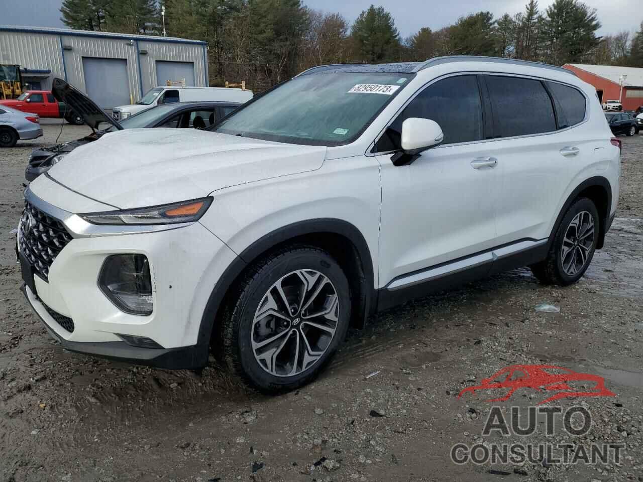 HYUNDAI SANTA FE 2019 - 5NMS5CAA0KH101271