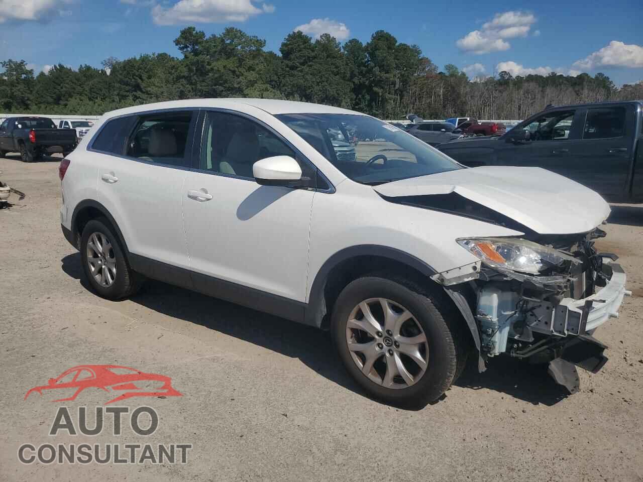 MAZDA CX-9 2014 - JM3TB2BA3E0446103