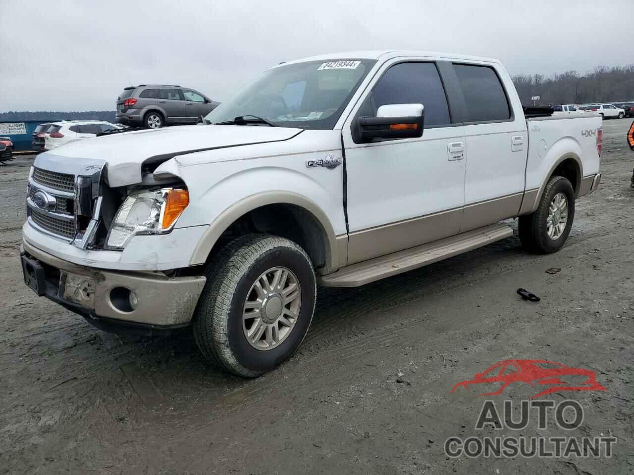 FORD F-150 2010 - 1FTFW1EV8AKE26480