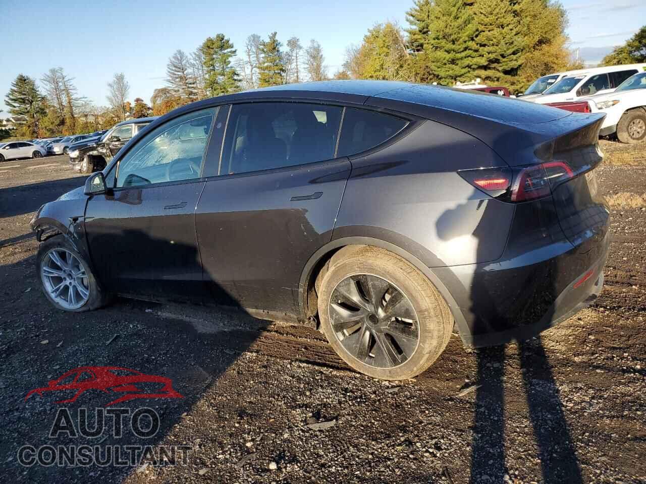 TESLA MODEL Y 2024 - 7SAYGAEE2RF988926
