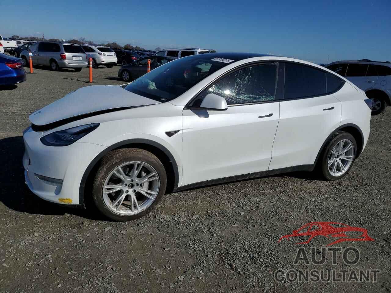 TESLA MODEL Y 2022 - 7SAYGDEE0NF493118