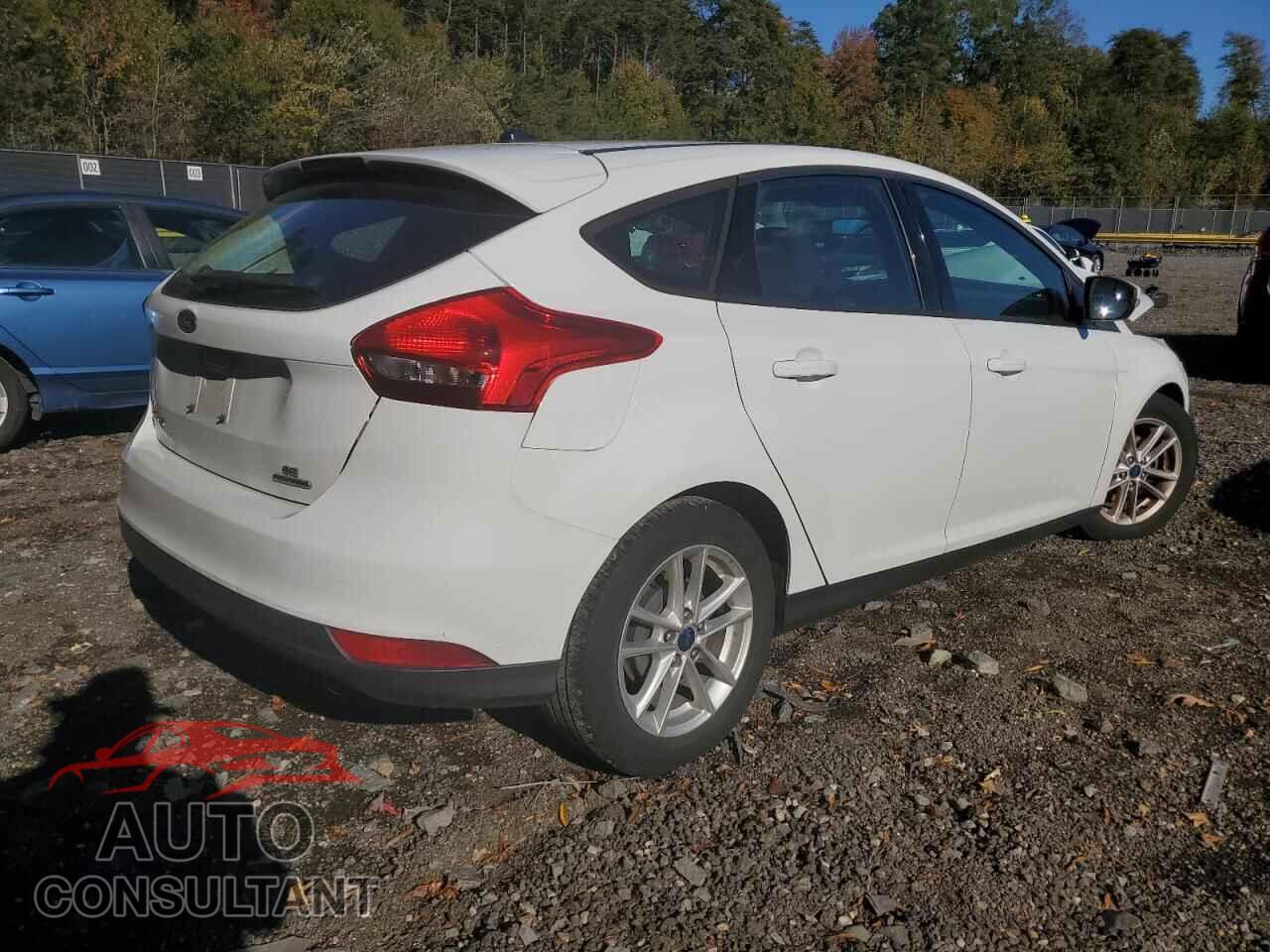 FORD FOCUS 2016 - 1FADP3K28GL319951