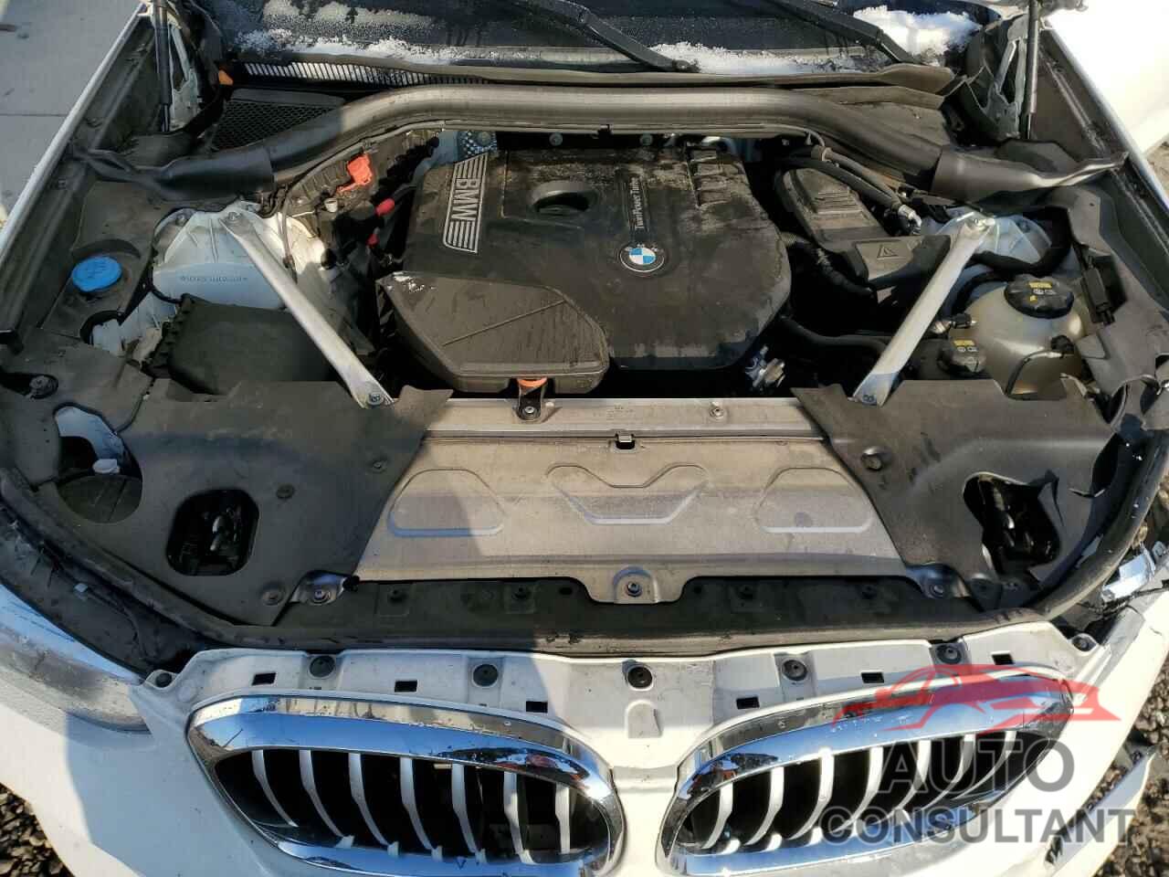 BMW X4 2019 - 5UXUJ3C54KLG53439