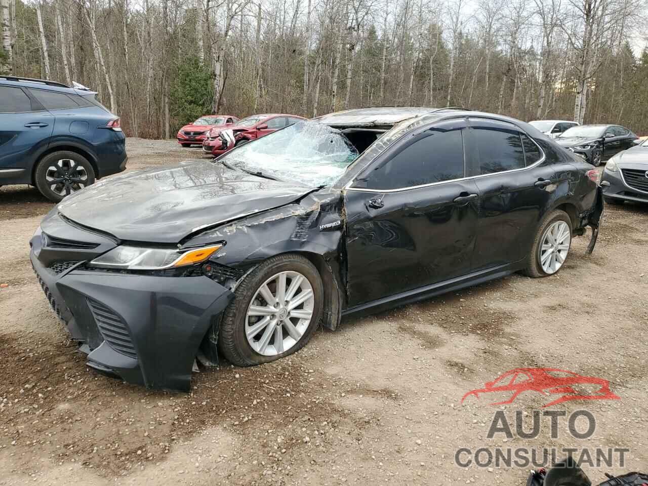 TOYOTA CAMRY 2019 - 4T1B21HK0KU517207