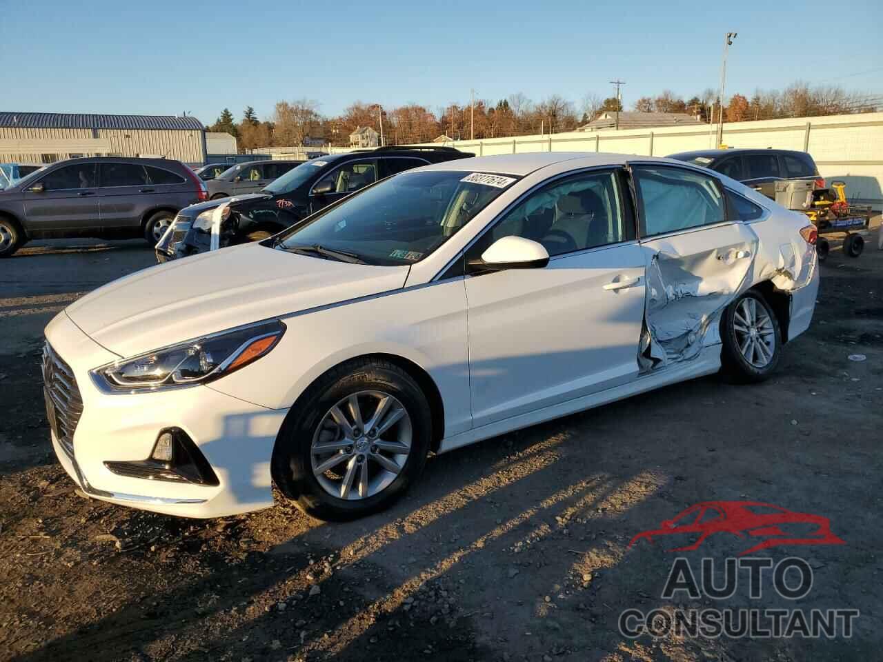 HYUNDAI SONATA 2018 - 5NPE24AF0JH666788