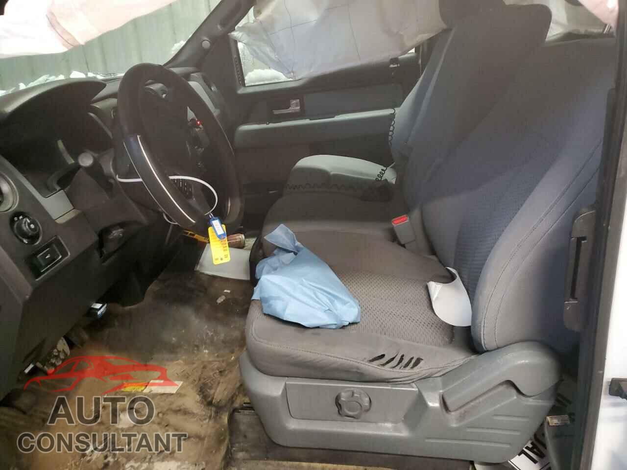 FORD F-150 2013 - 1FTFX1EF9DFD70309