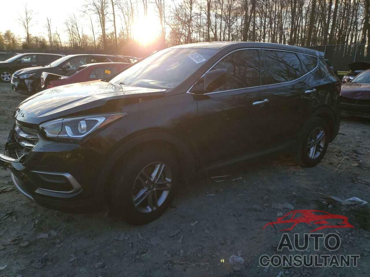 HYUNDAI SANTA FE 2017 - 5NMZTDLBXHH030511