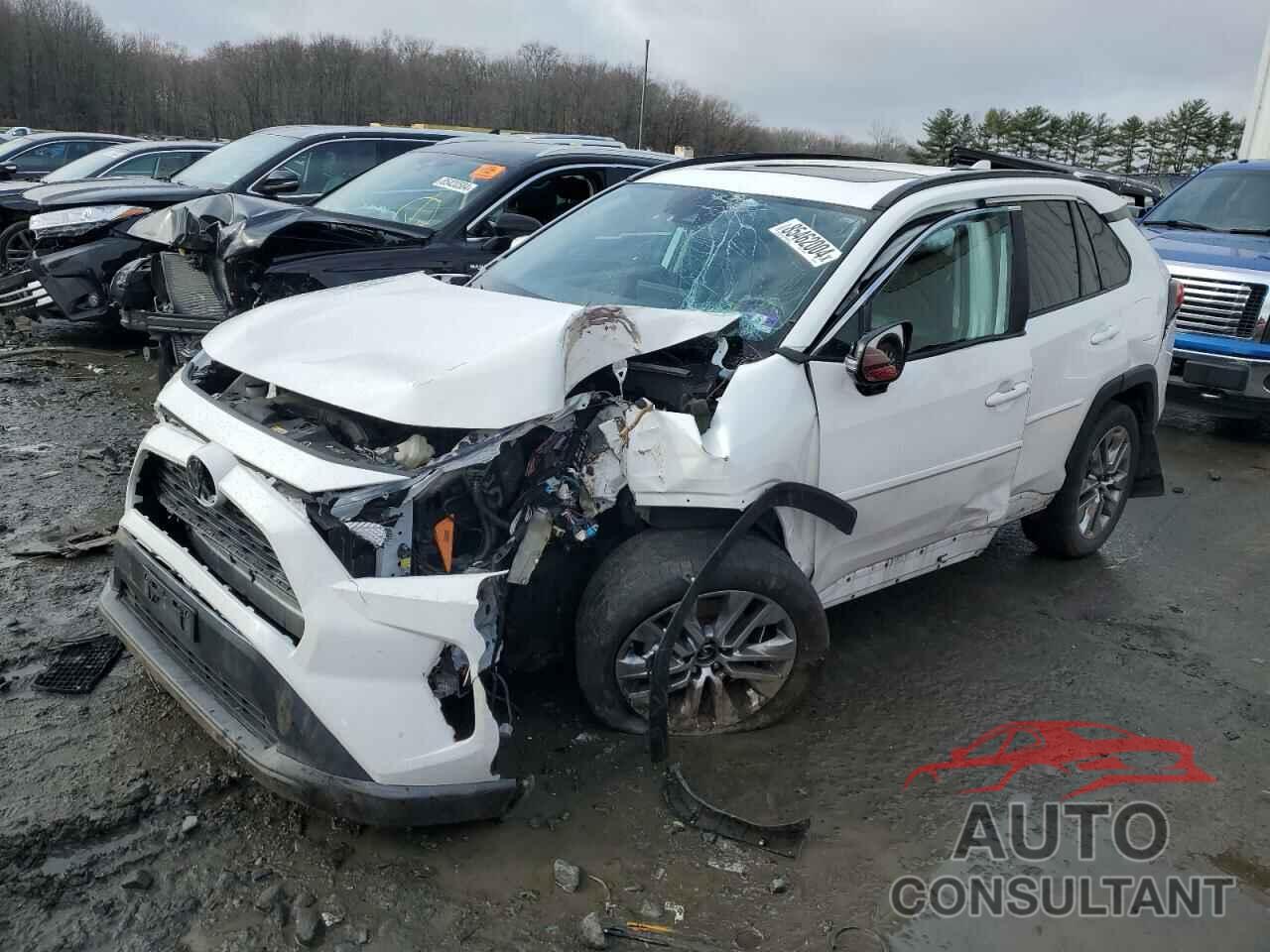 TOYOTA RAV4 2019 - 2T3A1RFV6KC028295