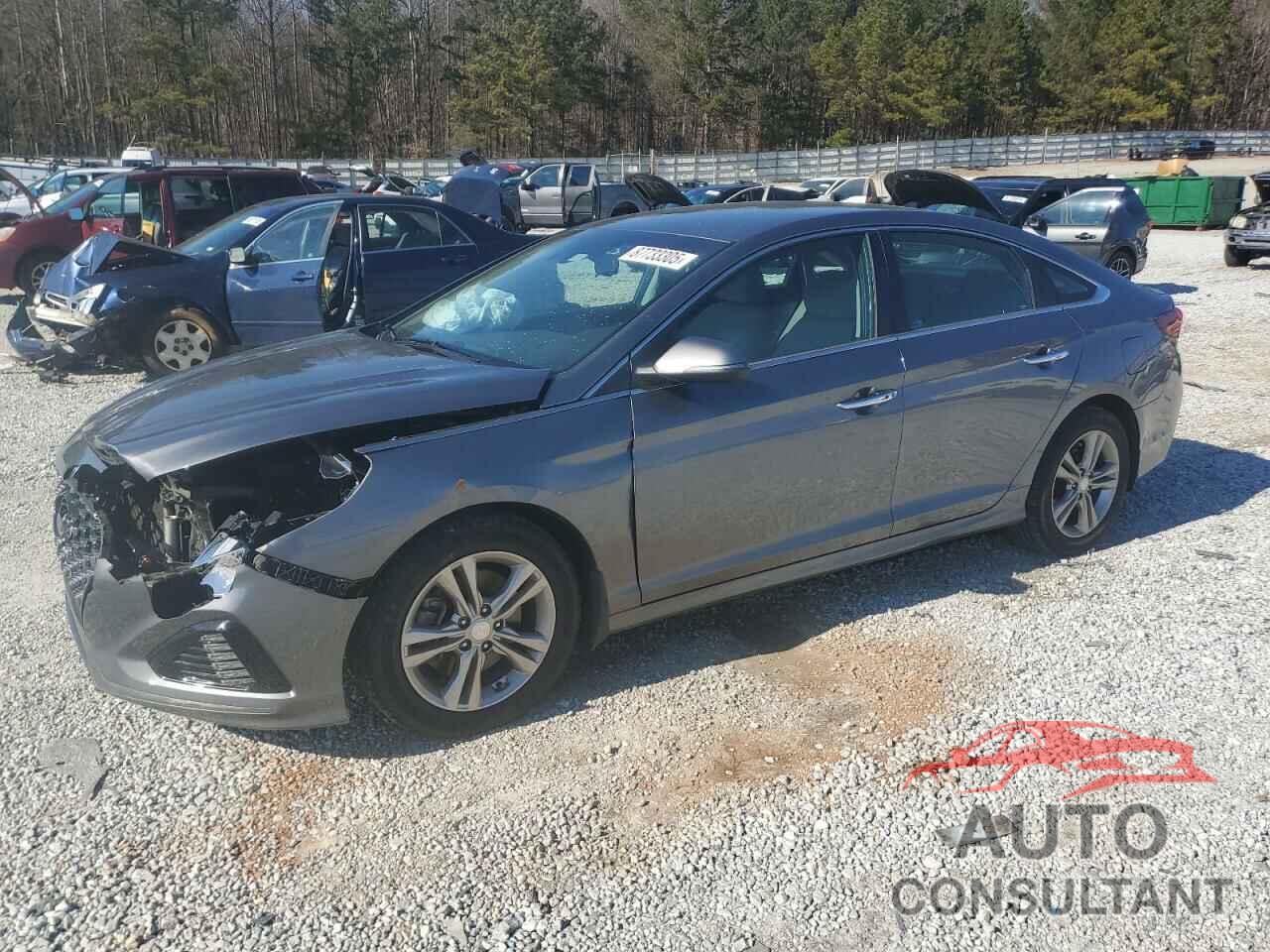 HYUNDAI SONATA 2019 - 5NPE34AF5KH730550