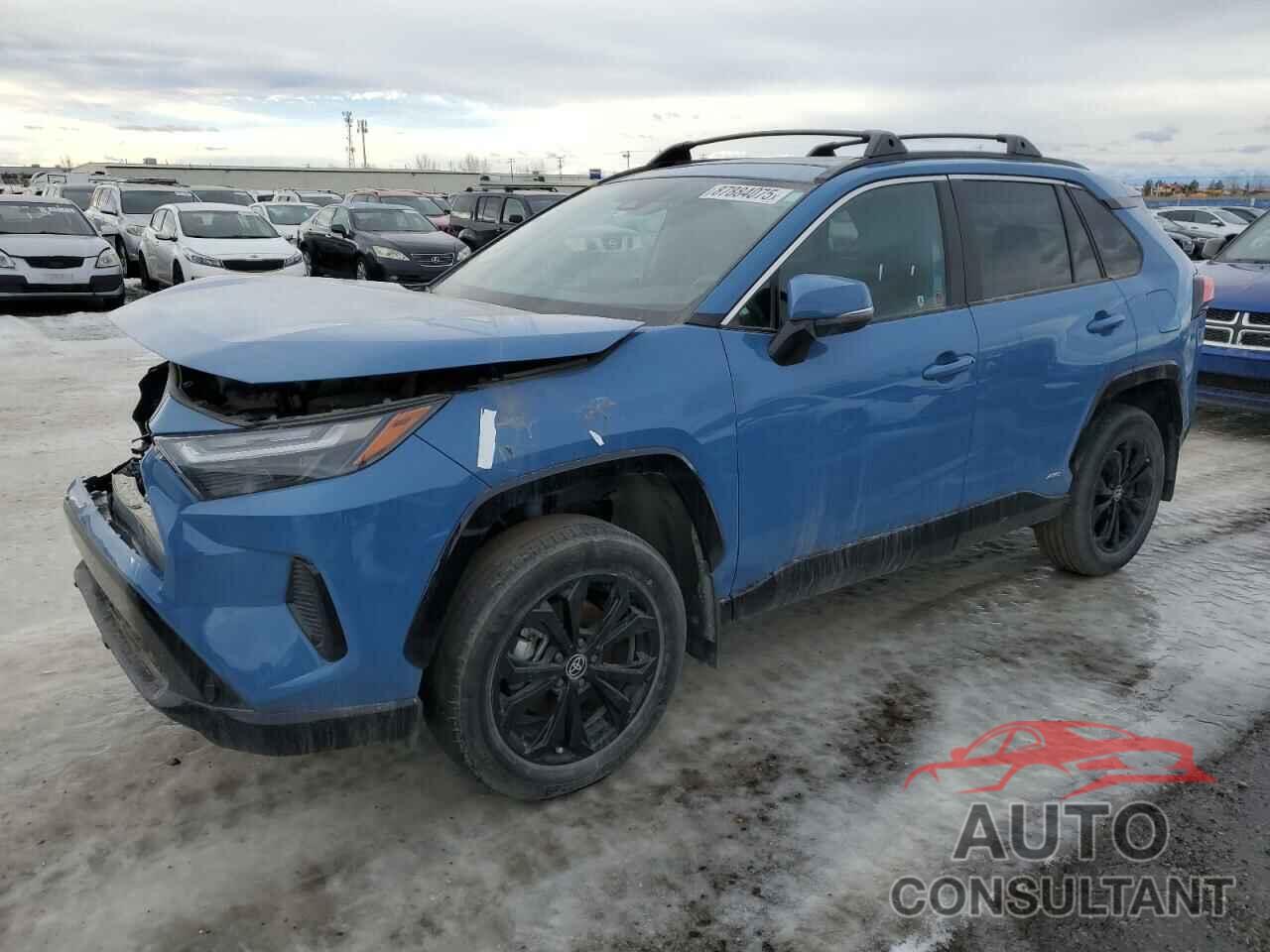 TOYOTA RAV4 2022 - 2T34WRFV8NW148892