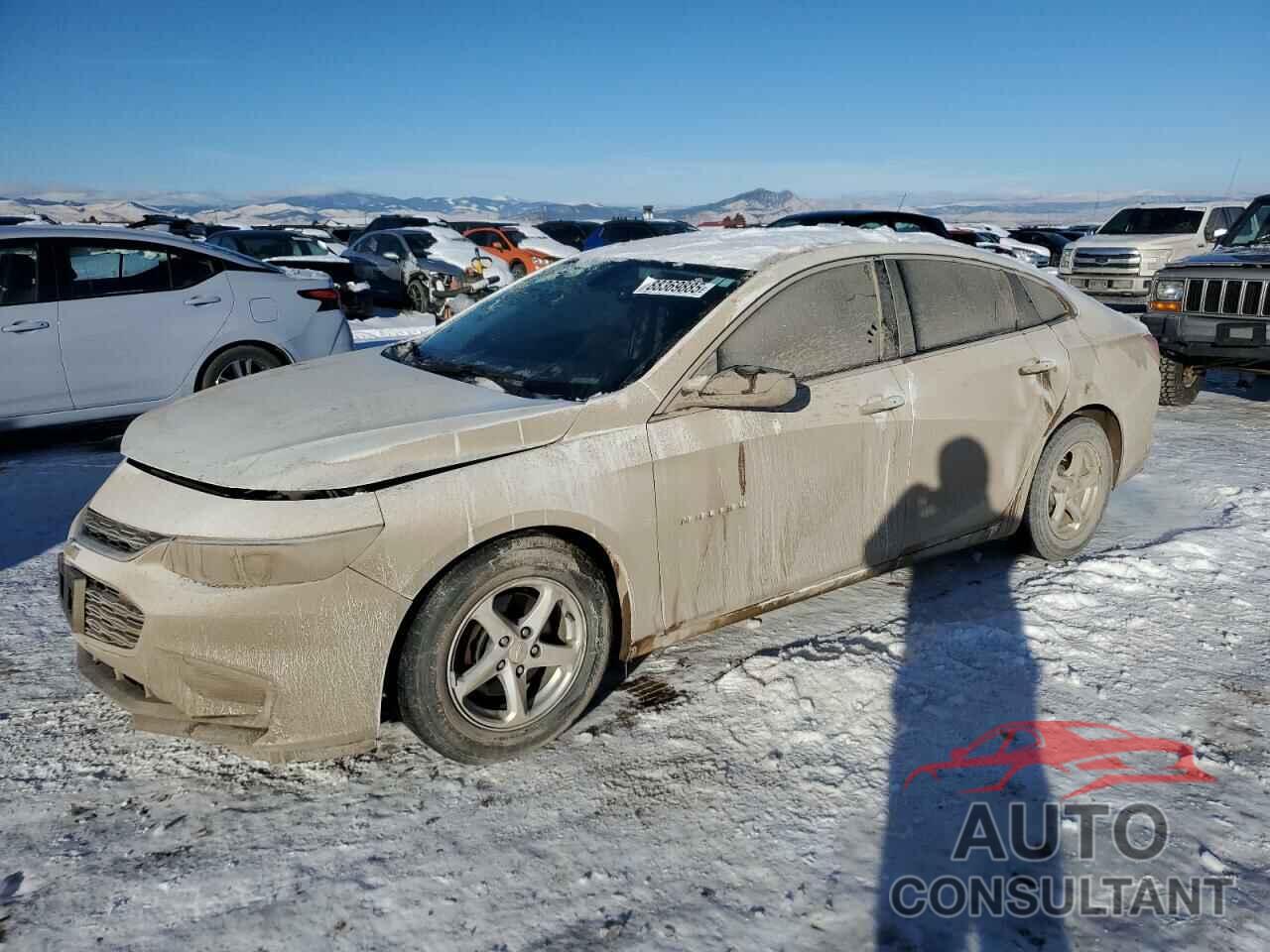 CHEVROLET MALIBU 2016 - 1G1ZB5ST7GF258652