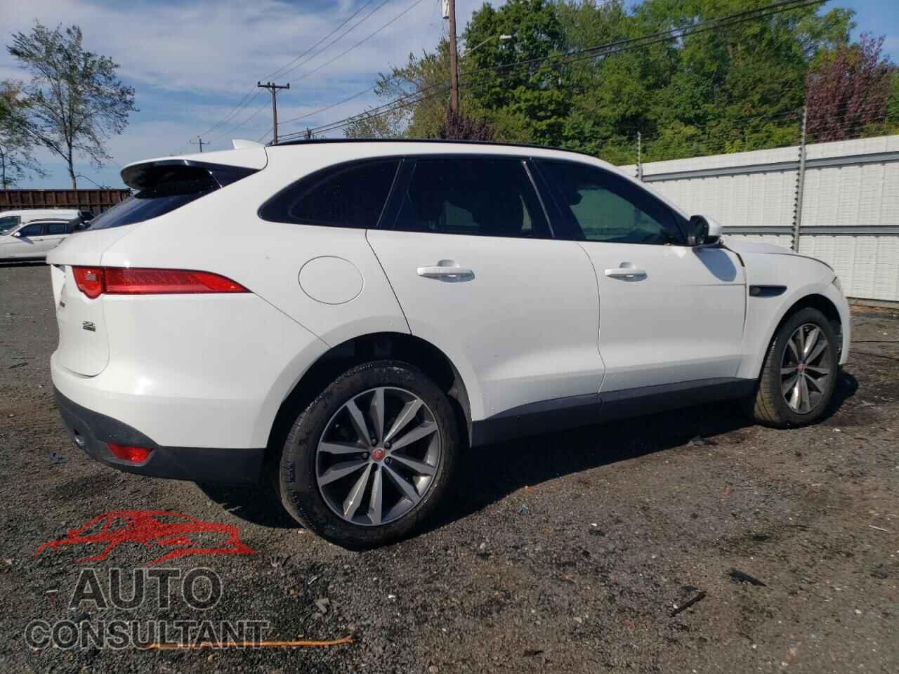 JAGUAR F-PACE 2019 - SADCK2FX7KA353473