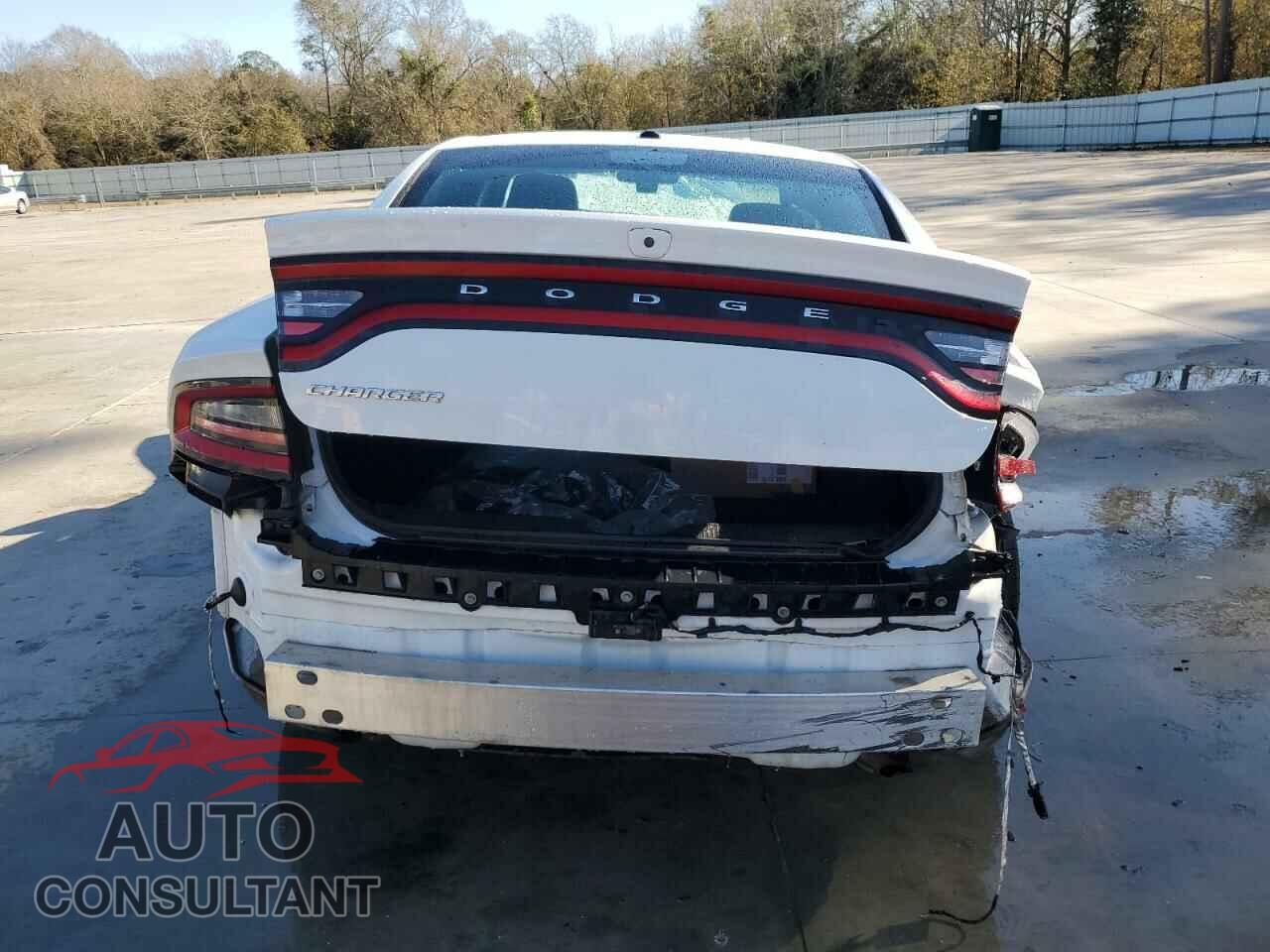 DODGE CHARGER 2019 - 2C3CDXBG3KH760205