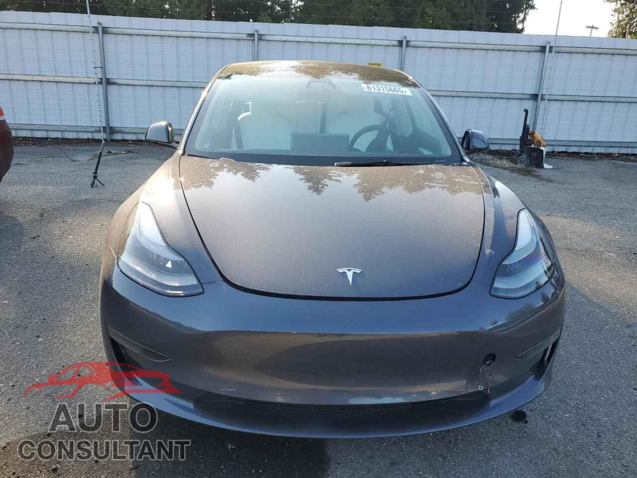 TESLA MODEL 3 2023 - 5YJ3E1EA1PF624259
