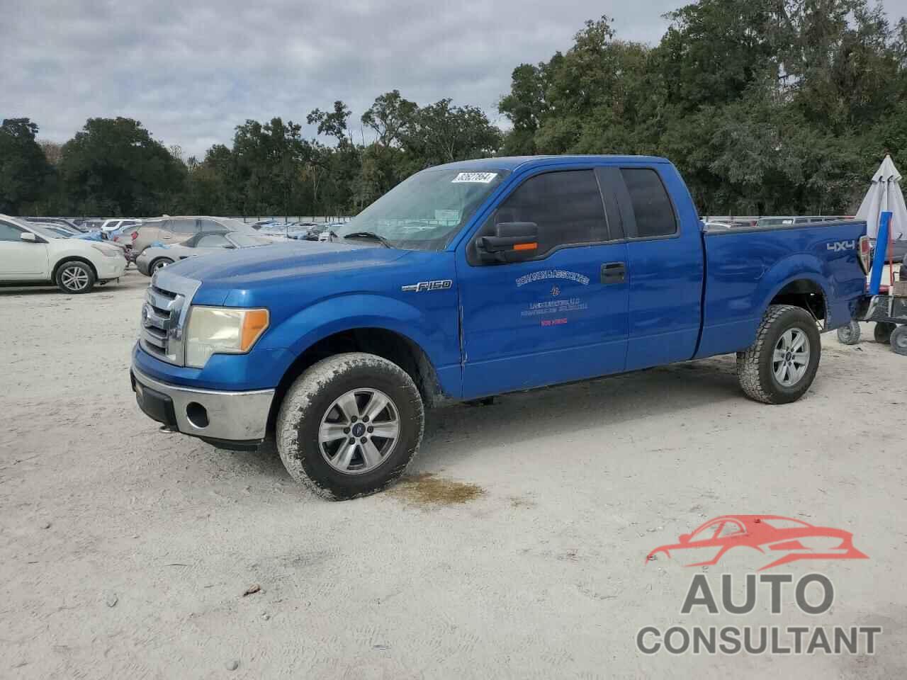 FORD F-150 2011 - 1FTFX1EF5BFB45351