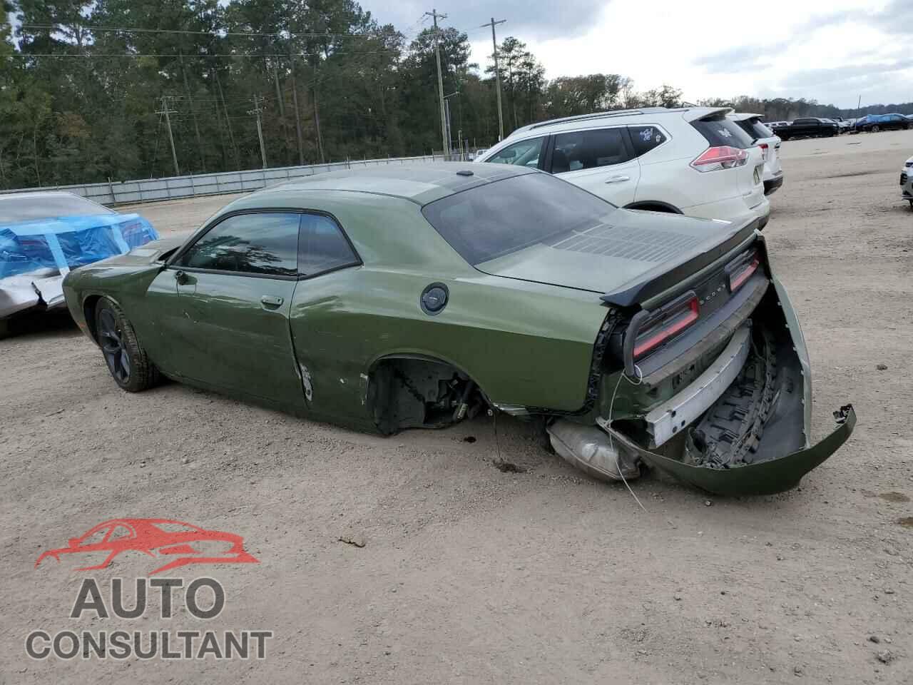 DODGE CHALLENGER 2019 - 2C3CDZAG3KH551320