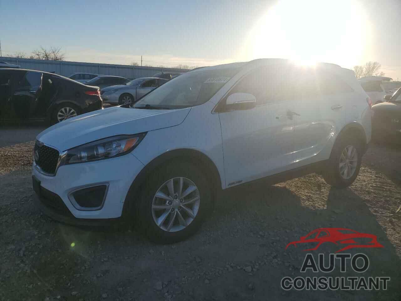 KIA SORENTO 2017 - 5XYPGDA52HG318090