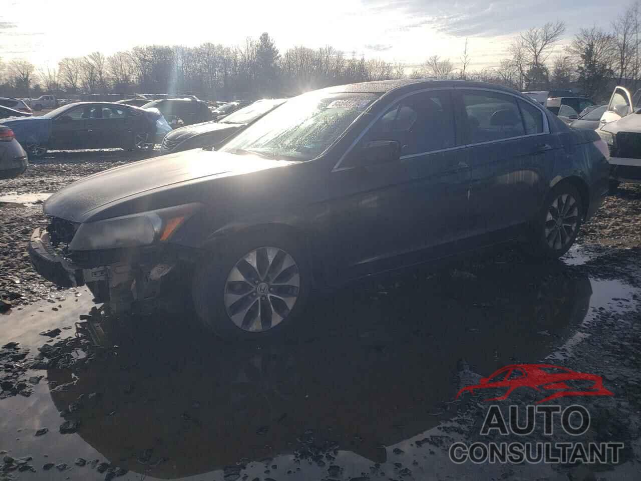 HONDA ACCORD 2010 - 1HGCP2F89AA001906