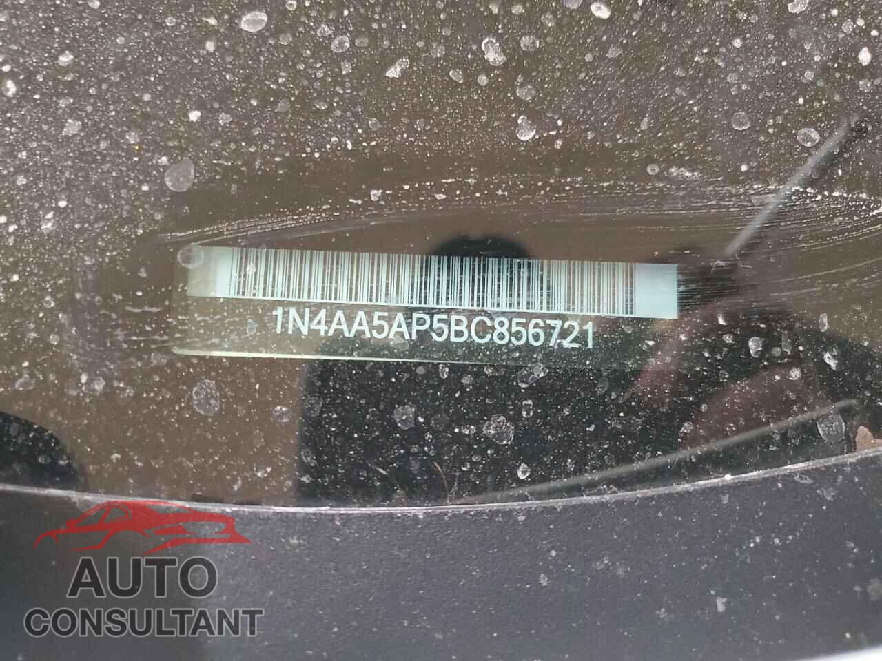 NISSAN MAXIMA 2011 - 1N4AA5AP5BC856721