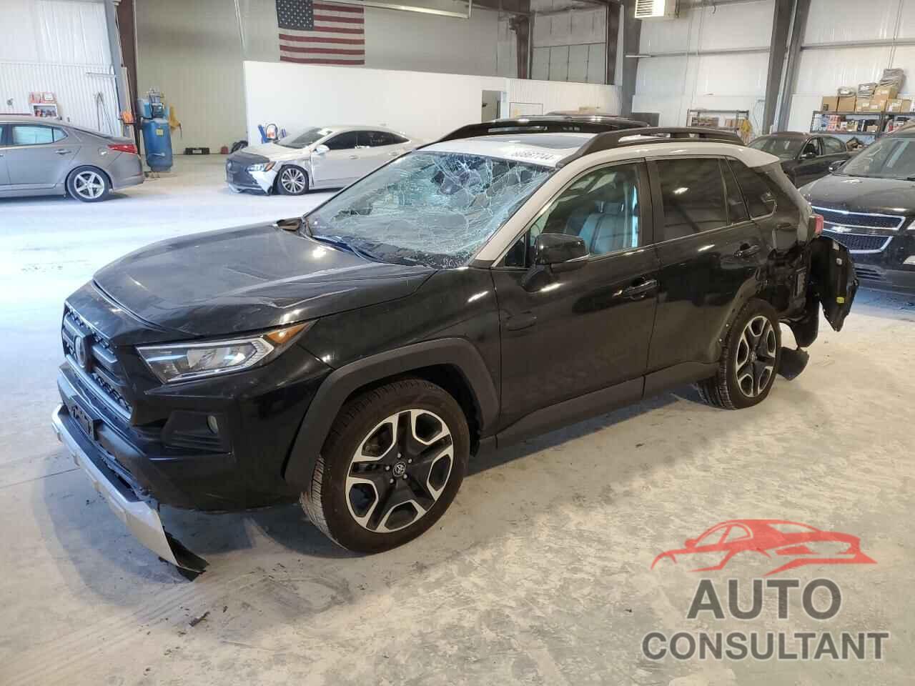 TOYOTA RAV4 2019 - 2T3J1RFV9KC033989