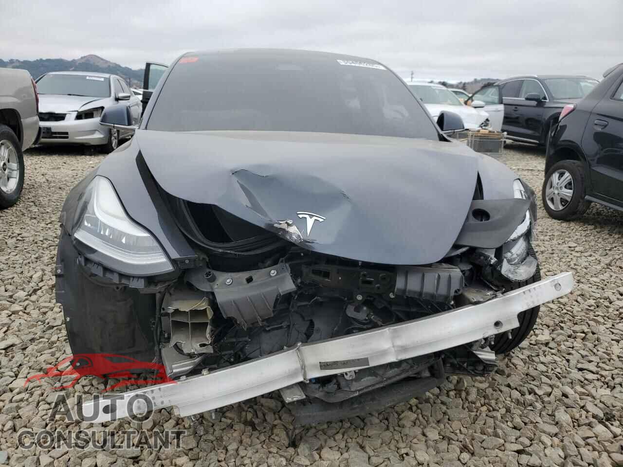 TESLA MODEL 3 2019 - 5YJ3E1EA0KF357639